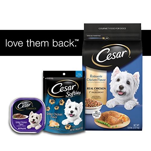  Cesar Small Breed Dry Dog Food