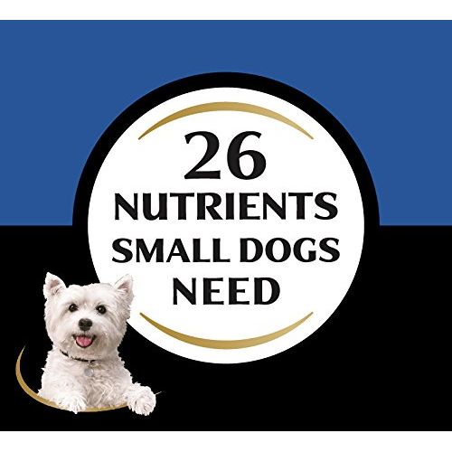  Cesar Small Breed Dry Dog Food