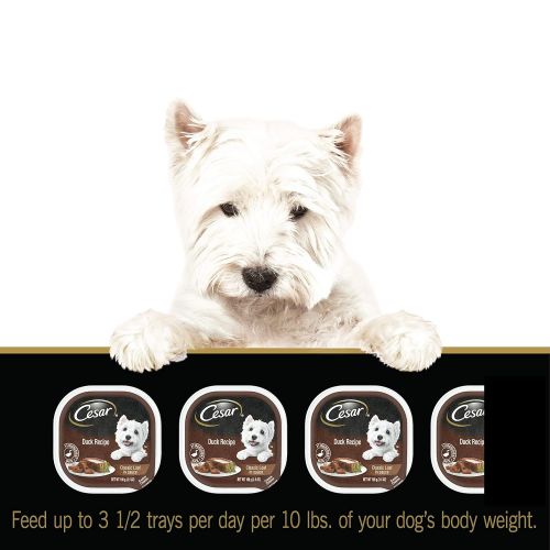  Cesar CESAR Wet Dog Food Variety Pack Trays 3.5 Ounces (Pack of 24)