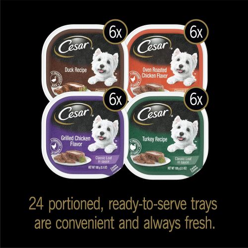  Cesar CESAR Wet Dog Food Variety Pack Trays 3.5 Ounces (Pack of 24)