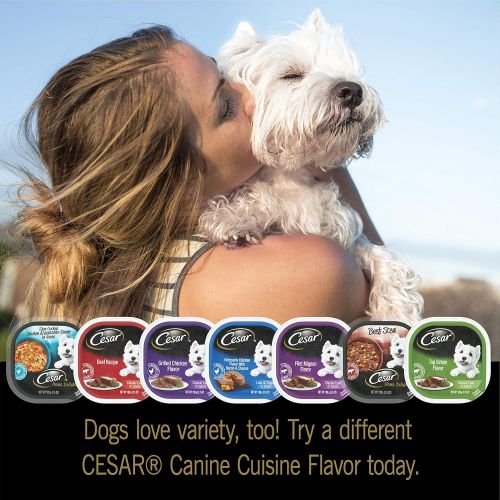  Cesar CESAR Wet Dog Food Variety Pack Trays 3.5 Ounces (Pack of 24)