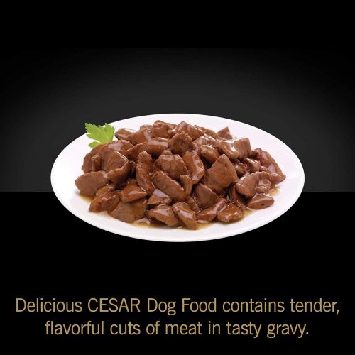  Cesar Gourmet Wet Dog Food Variety Packs - 36 Trays