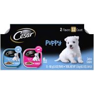 Cesar Puppy Wet Dog Food  24 Trays
