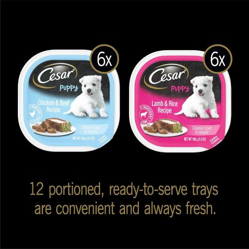  Cesar Puppy Wet Dog Food  24 Trays