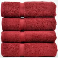Chakir Linen Dobby Border Turkish Cotton Towel Set (Set of 4)