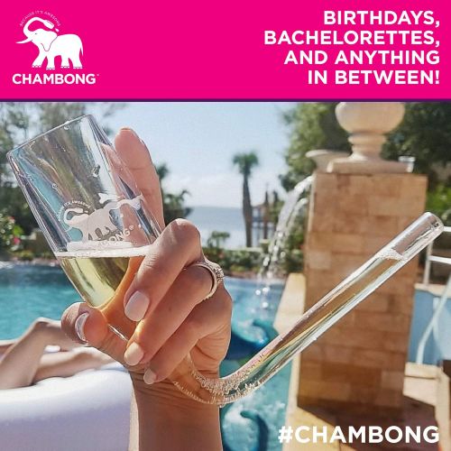 [아마존베스트]CHAMBONG  6 oz Classic Size, 5 Pcs Acrylic Shatterproof Party Pack - Champagne Shooter Plastic Flute - Fun Party Favor, Bachelorette, Bridesmaids Gifts