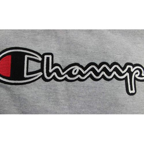  Champion Mens Big & Tall Felt Lettering Script Logo Fleece Pullover Hoodie