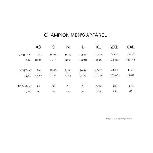  Champion Men'S Tshirt, Sport Tee, Moisture Wicking, Anti Odor, Athletic T-Shirt For Men Reg. Or Big & Tall