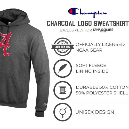  Champion Adult NCAA Mascot Fleece Hooded Sweatshirt