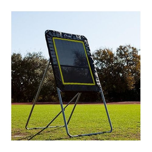  Champion Sports Deluxe Lacrosse Target: Ball Return Bounce Back Net Set for Professional, College and Grade School Training & Drills - 4' x 3' Rebound Area