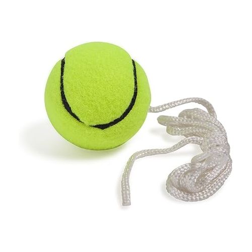  Champion Sports TTGAME Tetherball Tennis: Swingball Outdoor Lawn Game for Kids, Adults, and Families - Backyard Tether Kit with Tennis Ball and Paddle Set