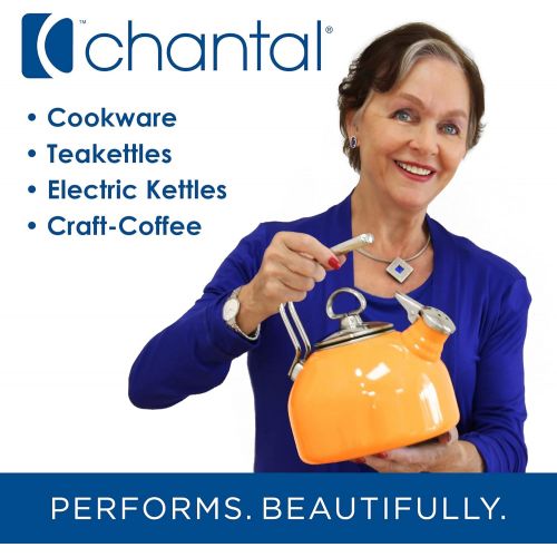  Chantal Vintage Enamel on Steel Whistling Teakettle, 1.7 quart, Aqua