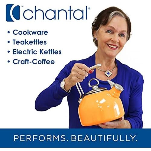  [아마존베스트]Chantal Lotus ceramic pour over coffee dripper, 8 Ounce, Aqua