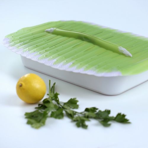  Charles Viancin Asparagus Rectangle Lid