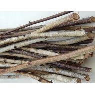 /CharmWoodShop Birch branches 40 pcs, birch tree decor, natural branch, wooden twigs, Craft sticks, decorative birch, birch wood decor, tree branch wedding