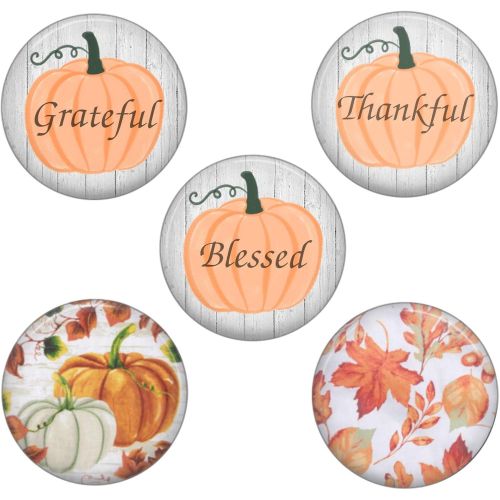  [아마존베스트]Charmed By Dragons Modern Farmhouse Kitchen Towel Set with Pot Holders Oven Mitt and Set of 5 Refrigerator Magnets Modern Farmhouse Decor (Autumn Leaves)