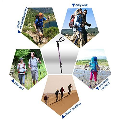  Chartsea Lightweight Trekking Poles - 63cm - 135cm Collapsible Ultralight Hiking Walking Sticks with Quick Lock & Sweat Absorbing EVA Foam Grips for Camping Mountaineering - for Wo