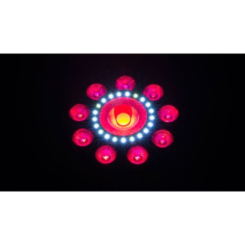  2 x Chauvet DJ FXpar 9 DMX Multi-Effect LED, SMD RGB+UV Strobe Par Light with 1 Year Free Extended Warranty