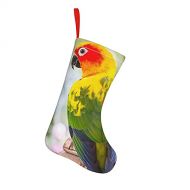 chegna Parrots Sun Conure Hooked Christmas Stockings- 10 Inch Christmas Stockings Fireplace Hanging Stockings for Family Christmas Decoration Holiday Season Party Decor