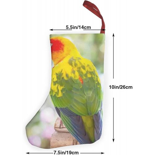  chegna Parrots Sun Conure Hooked Christmas Stockings- 10 Inch Christmas Stockings Fireplace Hanging Stockings for Family Christmas Decoration Holiday Season Party Decor