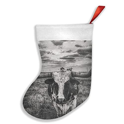  chegna Black and White Texas Longhorn Steer in Rural Farm Christmas Stockings- 16 Inch Christmas Stockings Fireplace Hanging Stockings for Family Christmas Decoration Holiday Seaso