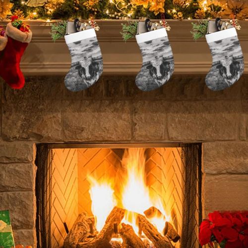  chegna Black and White Texas Longhorn Steer in Rural Farm Christmas Stockings- 16 Inch Christmas Stockings Fireplace Hanging Stockings for Family Christmas Decoration Holiday Seaso