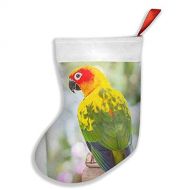 chegna Parrots Sun Conure Hooked Christmas Stockings- 16 Inch Christmas Stockings Fireplace Hanging Stockings for Family Christmas Decoration Holiday Season Party Decor