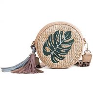 ChenyanAwesom Ladies Handbag Female Rattan Bag with Fruit Pineapple Pattern Round Handwoven Crossbody Purse (Color : Leaf, Size : 10185CM)