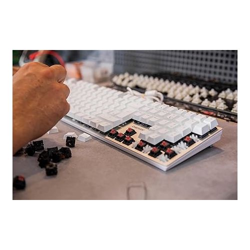  Cherry KC 200 MX Mechanical Office Keyboard with New MX2A switches. Modern Design with Metal Plate Frame (White W/MX2A Brown Switch)