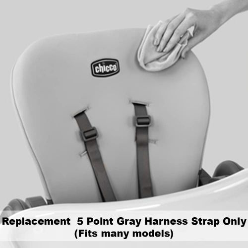  Replacement Part for Chicco Polly 13 Highchair ~ Replacement 5 Point Gray Harness Strap - Fits Many Models