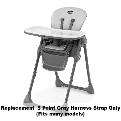  Replacement Part for Chicco Polly 13 Highchair ~ Replacement 5 Point Gray Harness Strap - Fits Many Models