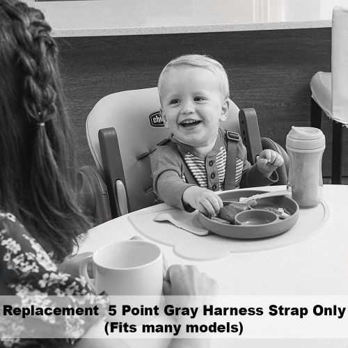  Replacement Part for Chicco Polly 13 Highchair ~ Replacement 5 Point Gray Harness Strap - Fits Many Models