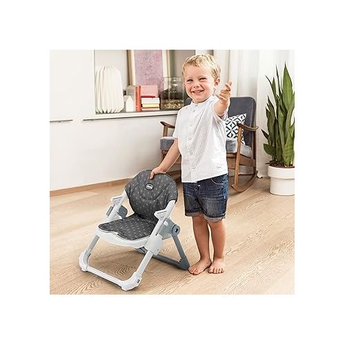 치코 Chicco Take-A-Seat Booster Seat - Grey Star