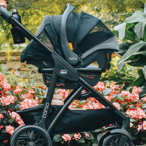 치코 Chicco Corso Primo ClearTex Travel System - Aspen