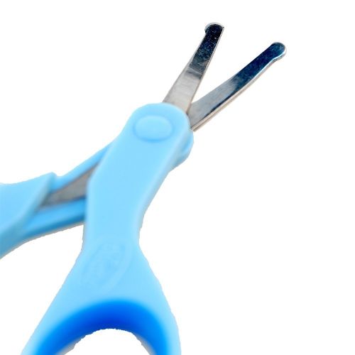 치코 Chicco???Sponge Safety Scissors Blue