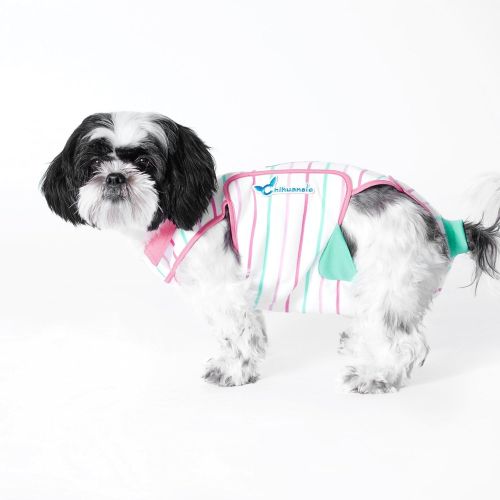  Chihuansie South Beach Sundae Full-Body Onesie for Small Dogs Designed to Hygienically Absorb and Contain Dog Urine