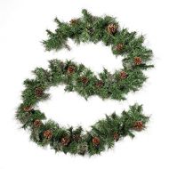 Christopher Knight Home 307394 9-Foot Cashmere Pine Pre-Lit Clear LED Artificial Christmas Garland with Snowy Branches and Pinecones, Green
