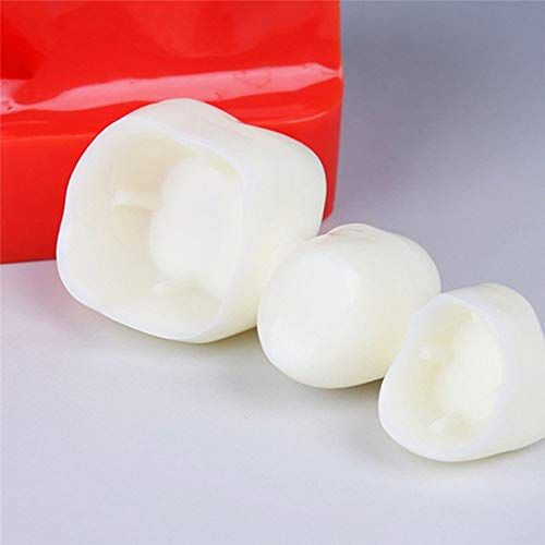  Christzo 4 Times Teeth Model Dental Implant Analysis Crown Bridge Demonstration Dental Teeth...