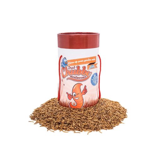  Chubby Mealworms Bulk Dried Mealworms for Wild Birds, Chickens etc.