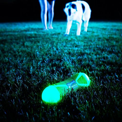  Chuckit! ChuckIt! Tumble Bumper Max Glow Floating Fetch Toy