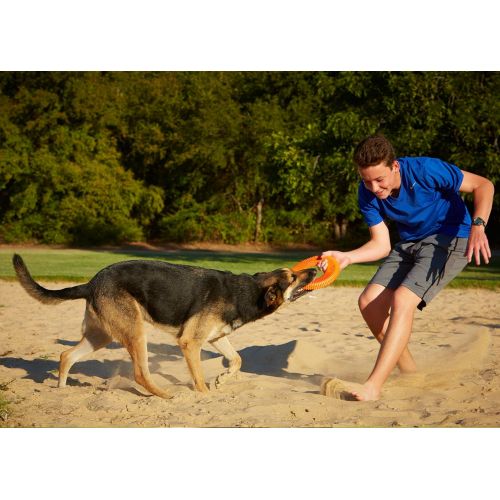  Chuckit! Rugged Flyer Dog Toy