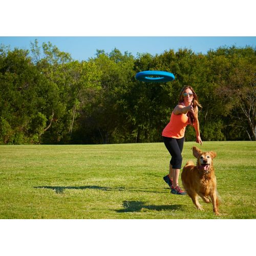  Chuckit! Rugged Flyer Dog Toy