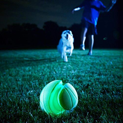  Chuckit! Kick Fetch Toy Ball for Dogs