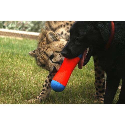  Chuckit! Chuckit Tumble Bumper Toy for Dogs