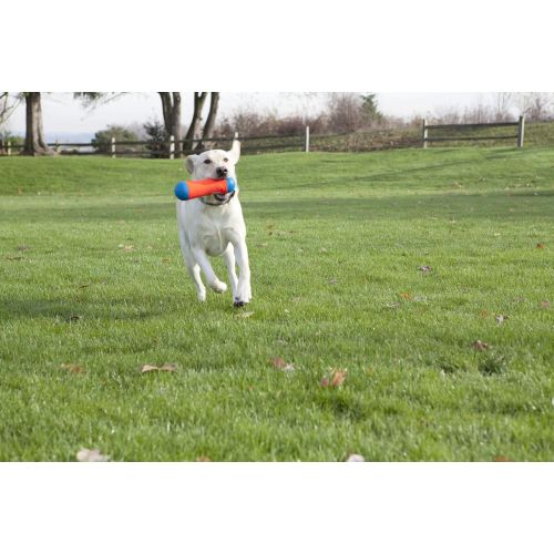  Chuckit! Chuckit Tumble Bumper Toy for Dogs