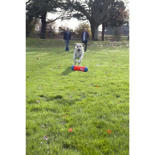  Chuckit! Chuckit Tumble Bumper Toy for Dogs