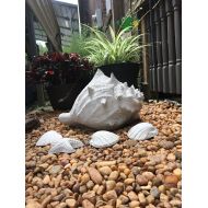 CindysConcreteDecor Concrete Cement Couch Shell Lawn and Garden Decor