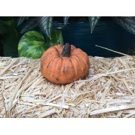 CindysConcreteDecor Concrete cement Pumpkin handpainted small