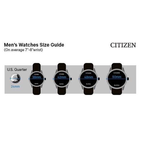  Citizen Mens Eco-Drive Leather Watch with DayDate by Citizen