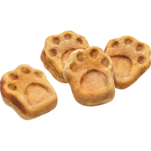  Clatronic DCM 3683 Dog Cookie Maker, inkl. Rezeptvorschlage, Backflachen mit verschiedenen Backmustern, Hundekekse zum Selbstherstellen, Weiss